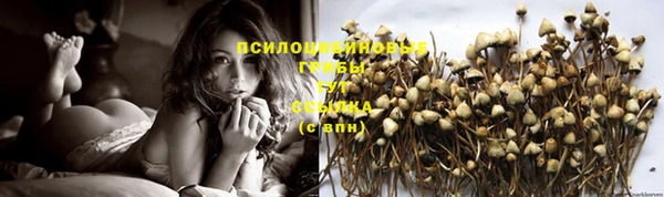 тгк Абинск